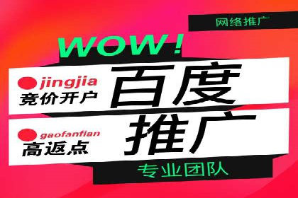 视频教程：通过SEM推广实现快速引流
